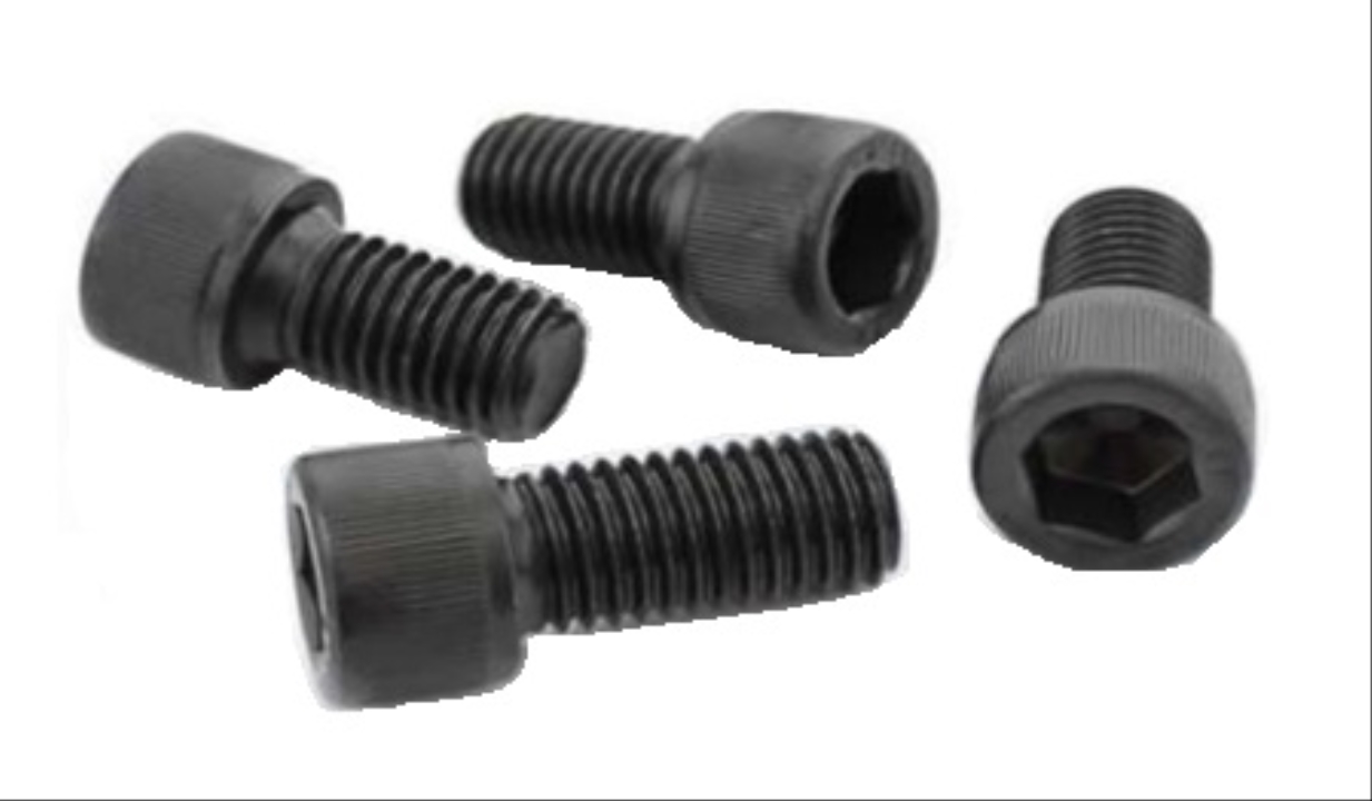 ROTOR VİDASI 125 CG SERİSİ (ADET) (M8x24)