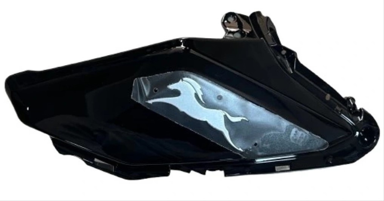 BENZİN DEPO ÖN KAPAK SOL (SİYAH) (N62244900D) TVS RAİDER 125