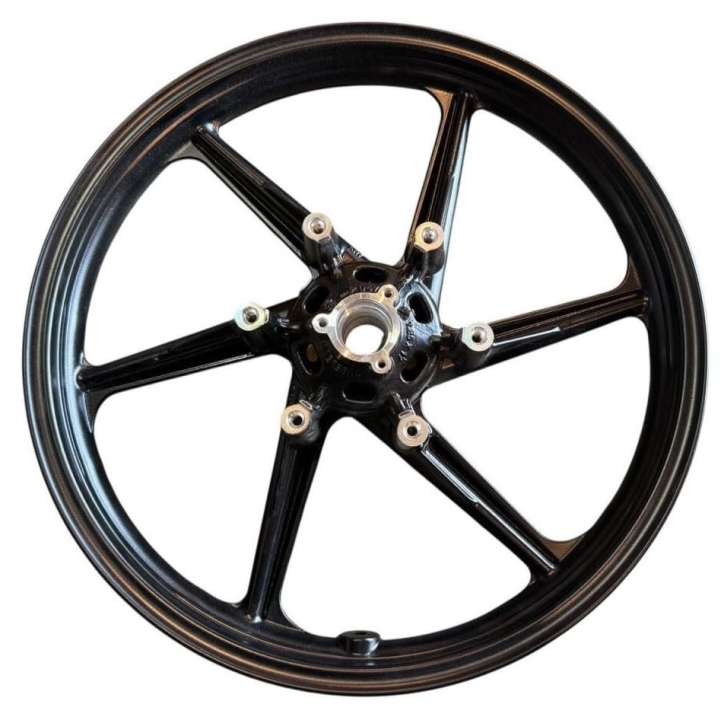 JANT  TVS RAİDER 125  ÖN (N9113640)
