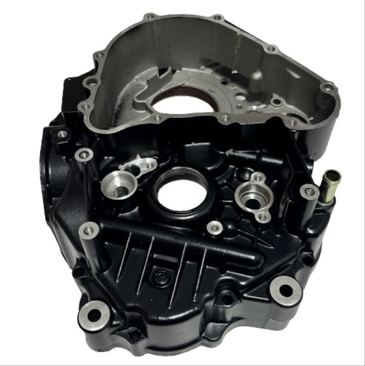 KARTER TVS APACHE RTR 200 SAĞ (N9325460)