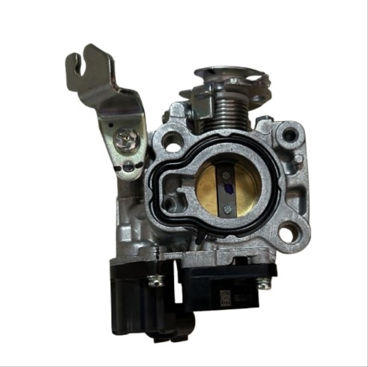 KELEBEK VALF GÖVDESİ (N6040730) TVS RAİDER 125