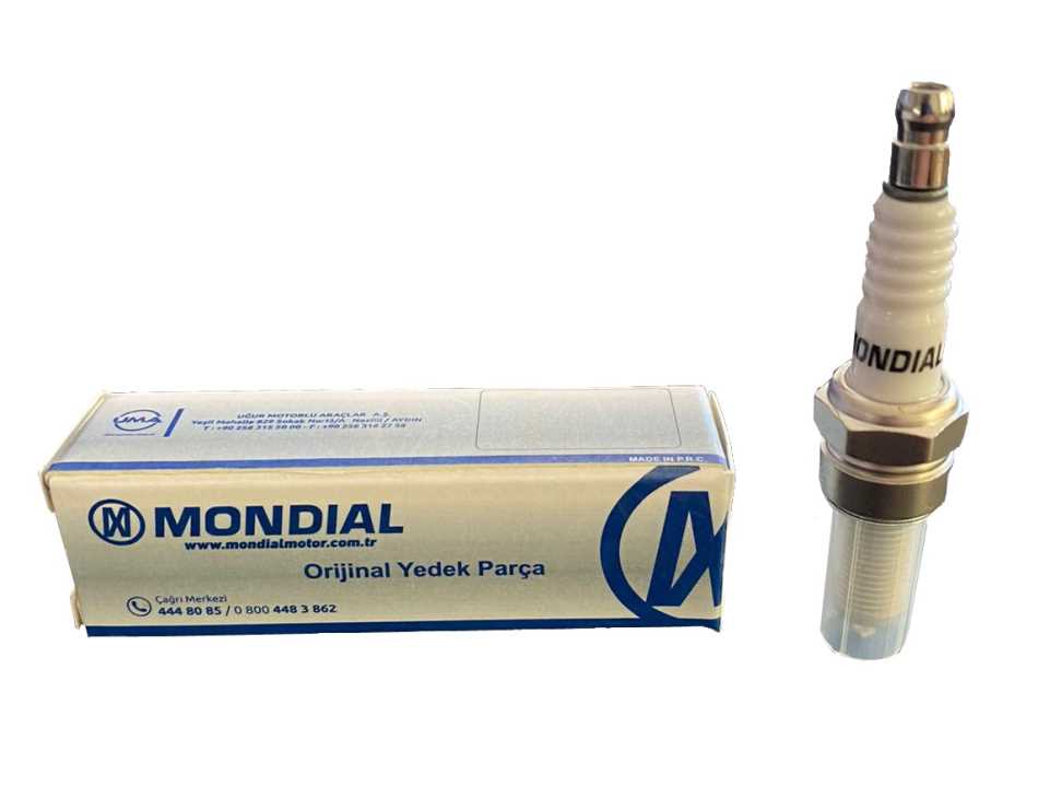 BUJİ MONDİAL (D8RC) CG + CGL