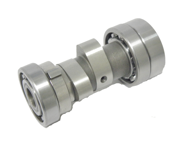 EKSANTRİK MİLİ  CUP 110 FT